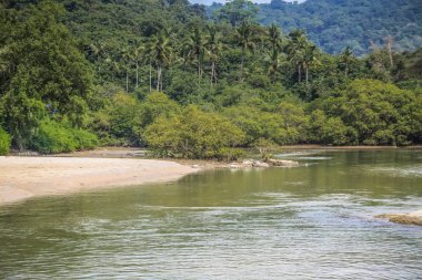 Vahşi kıyı şeridi ve plaj Güney Hindistan'da 