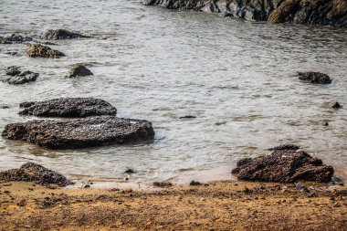 Vahşi kıyı şeridi ve plaj Güney Hindistan'da 