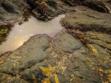Vahşi kıyı şeridi ve plaj Güney Hindistan'da 