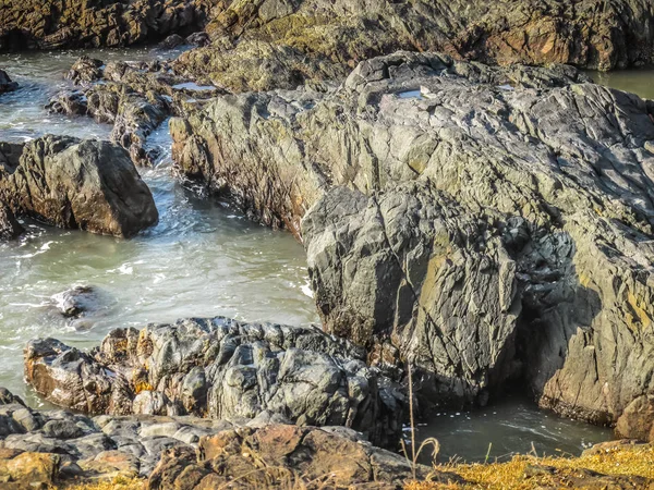 Natureza Paisagem Goa Sul Índia — Fotografia de Stock