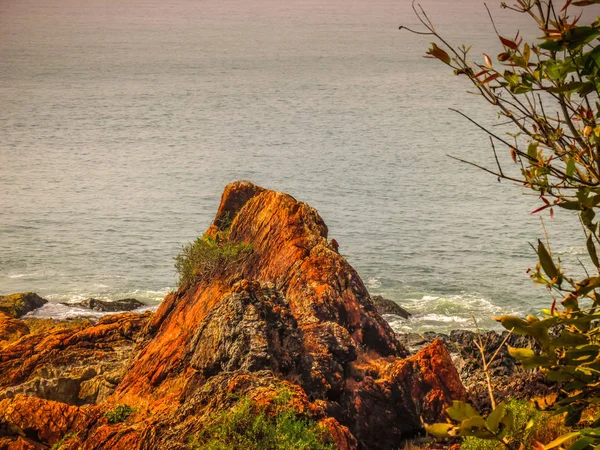Doğa Manzara Goa Güney Hindistan — Stok fotoğraf