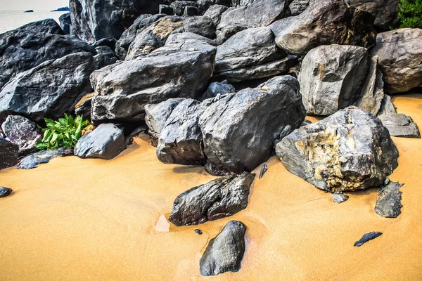 Natur Und Landschaft Goa Südindien — Stockfoto