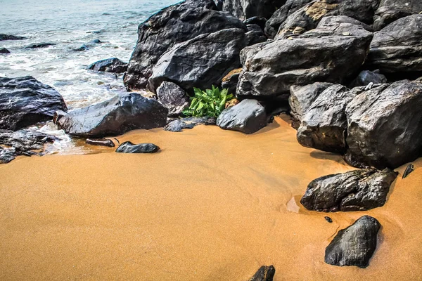 Natur Und Landschaft Goa Südindien — Stockfoto