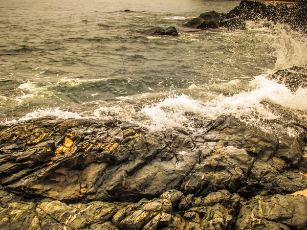 Natureza Paisagem Goa Sul Índia — Fotografia de Stock