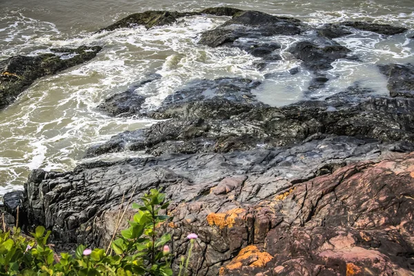 Côte Sauvage Plage Dans Sud Inde — Photo