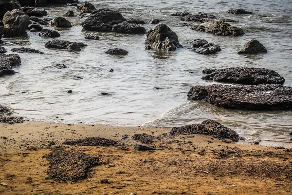 Costa Selvagem Praia Sul Índia — Fotografia de Stock