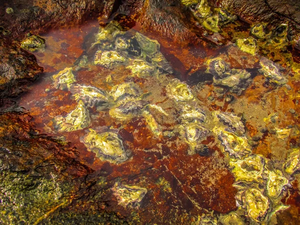 荒々しい海岸線が楽しめますし 南インドのビーチ — ストック写真