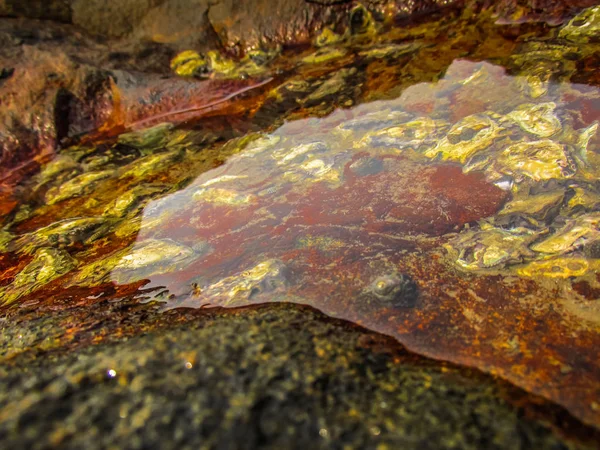 Côte Sauvage Plage Dans Sud Inde — Photo