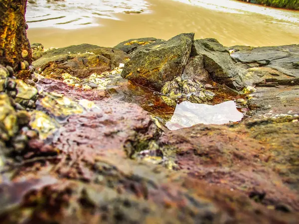 Côte Sauvage Plage Dans Sud Inde — Photo