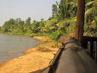 Vahşi kıyı şeridi ve plaj Güney Hindistan'da 