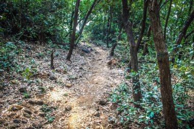 Doğa ve manzara Goa Güney Hindistan'da 
