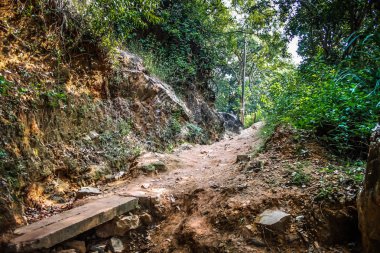 Doğa ve manzara Goa Güney Hindistan'da 