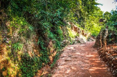 Doğa ve manzara Goa Güney Hindistan'da 