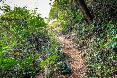 Doğa ve manzara Goa Güney Hindistan'da 