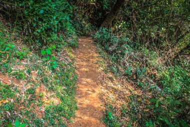 Doğa ve manzara Goa Güney Hindistan'da 
