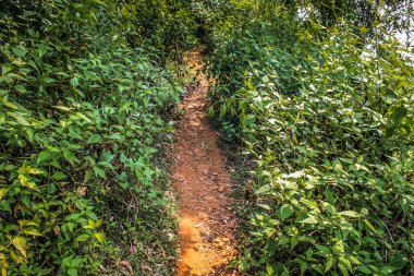 Doğa ve manzara Goa Güney Hindistan'da 