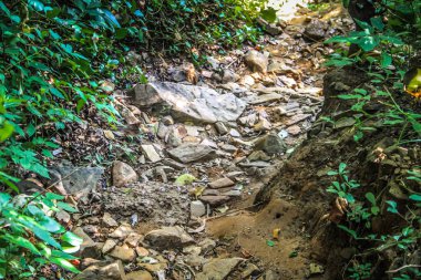 Doğa ve manzara Goa Güney Hindistan'da 