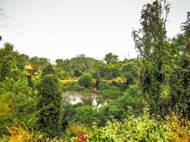 Doğa ve manzara Goa Güney Hindistan'da 