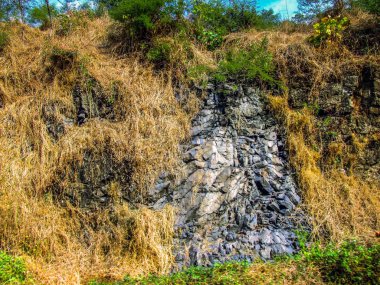 Doğa ve manzara Goa Güney Hindistan'da 