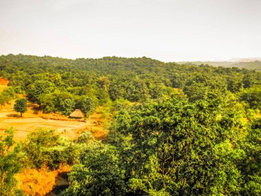 Doğa ve manzara Goa Güney Hindistan'da 