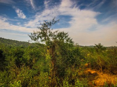 Doğa ve manzara Goa Güney Hindistan'da 