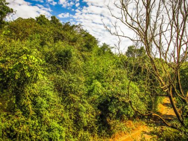 Doğa ve manzara Goa Güney Hindistan'da 