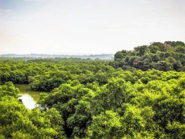 Doğa ve manzara Goa Güney Hindistan'da 