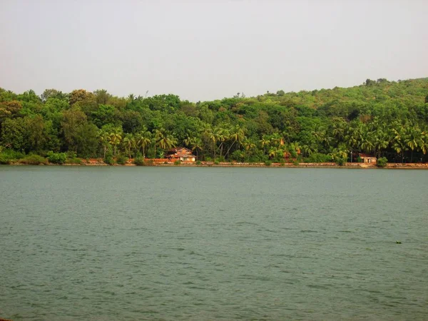 Natura Paesaggio Goa India Meridionale — Foto Stock