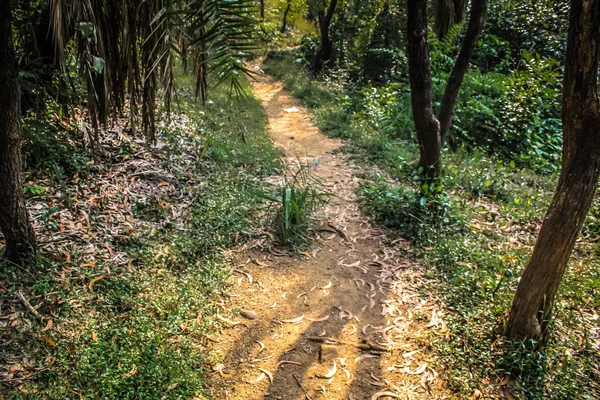 Doğa ve manzara Goa Güney Hindistan'da 