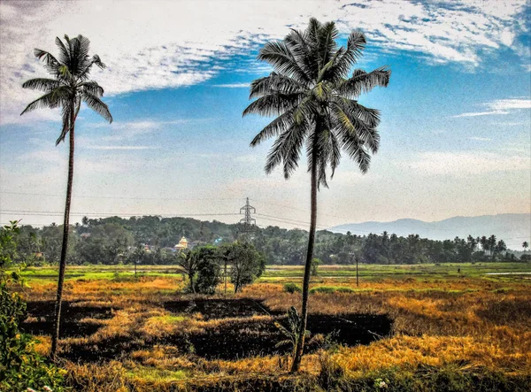 Natur Und Landschaft Goa Südindien — Stockfoto