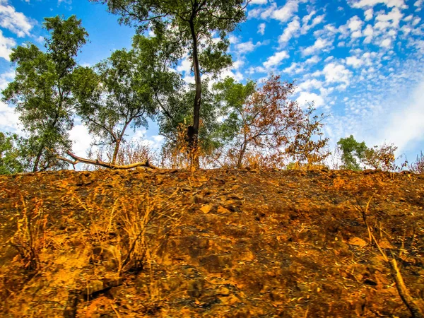 Natura Paesaggio Goa India Meridionale — Foto Stock