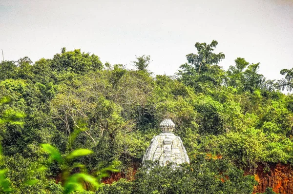 Natur Och Landskap Goa Södra Indien — Stockfoto