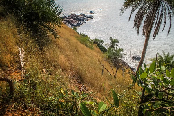 Chemin Dans Jungle Dans Sud Inde — Photo