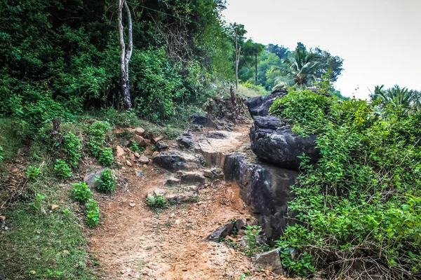 Camino Selva Sur India — Foto de Stock