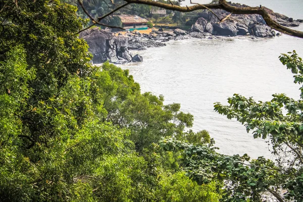 Chemin Dans Jungle Dans Sud Inde — Photo