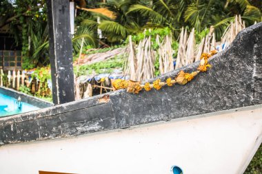 Balık tekne Güney Hindistan'da closeup