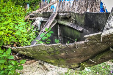 Balık tekne Güney Hindistan'da closeup