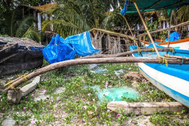 Güney Hindistan'da bir balık tekne closeup