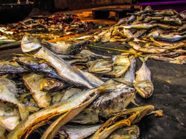 Balıklar ve deniz ürünleri farklı türde closeup Güney Hindistan'da balık pazarında satılan