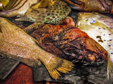 Balıklar ve deniz ürünleri farklı türde closeup Güney Hindistan'da balık pazarında satılan