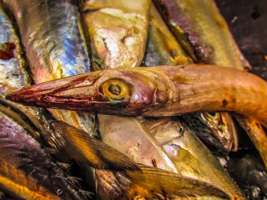 Balıklar ve deniz ürünleri farklı türde closeup Güney Hindistan'da balık pazarında satılan