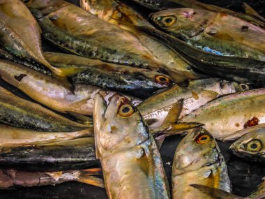 Balıklar ve deniz ürünleri farklı türde closeup Güney Hindistan'da balık pazarında satılan