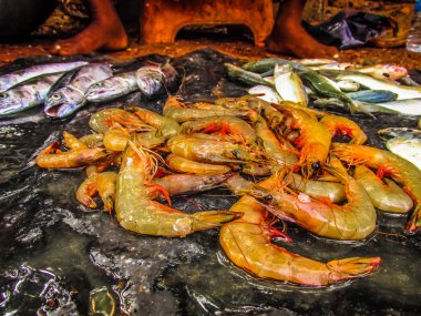 Balıklar ve deniz ürünleri farklı türde closeup Güney Hindistan'da balık pazarında satılan