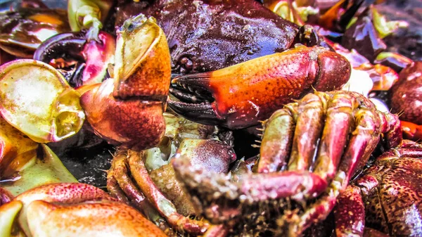 Primer Plano Los Diferentes Tipos Peces Mariscos Que Venden Mercado — Foto de Stock