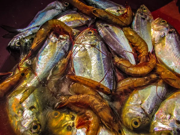 Balıklar Deniz Ürünleri Farklı Türde Closeup Güney Hindistan Balık Pazarında — Stok fotoğraf