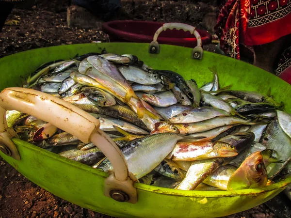 Balıklar ve deniz ürünleri farklı türde closeup Güney Hindistan'da balık pazarında satılan