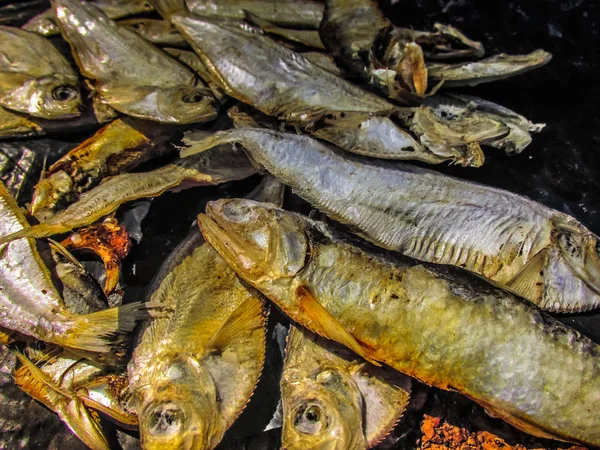 Balıklar ve deniz ürünleri farklı türde closeup Güney Hindistan'da balık pazarında satılan