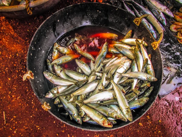Balıklar ve deniz ürünleri farklı türde closeup Güney Hindistan'da balık pazarında satılan