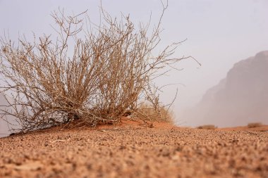 Ürdün çöl manzara görünümünü 