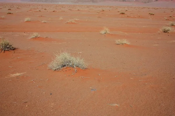 Vista Paisagem Deserto Jordânia — Fotografia de Stock